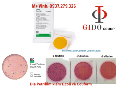 Khuẩn lạc E.coli trên Petrifilm