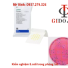 Khuẩn lạc E.coli trên Petrifilm