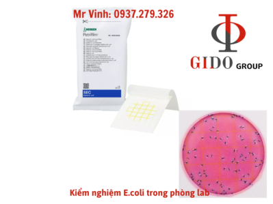 Khuẩn lạc E.coli trên Petrifilm