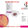 Khuẩn lạc Enterobacteriaceae trên Petrifilm