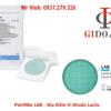 Khuẩn lạc vi khuẩn lactic trên Petrifilm