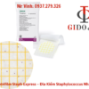 Khuẩn lạc Staphylococcus aureus trên Petrifilm