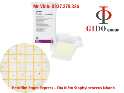 Khuẩn lạc Staphylococcus aureus trên Petrifilm